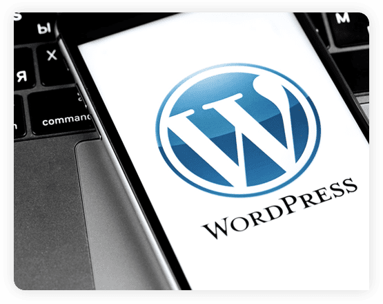 Custom WordPress Development